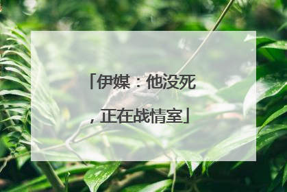 伊媒：他没死，正在战情室