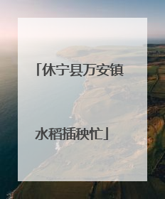 休宁县万安镇水稻插秧忙
