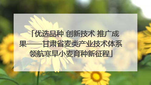 优选品种 创新技术 推广成果——甘肃省麦类产业技术体系领航寒旱小麦育种新征程
