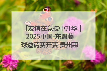 友谊在竞技中升华｜2025中国-东盟藤球邀请赛开赛 贵州惠水燃动“空中芭蕾”