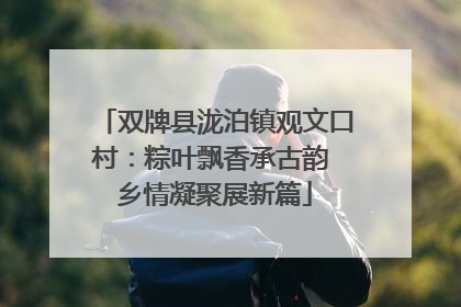 双牌县泷泊镇观文口村：粽叶飘香承古韵 乡情凝聚展新篇