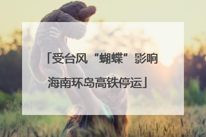 受台风“蝴蝶”影响 海南环岛高铁停运
