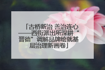 古桥新治 善治连心——西街派出所深耕“晋德”调解品牌绘就基层治理新画卷
