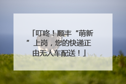 叮咚！顺丰“萌新”上岗，您的快递正由无人车配送！