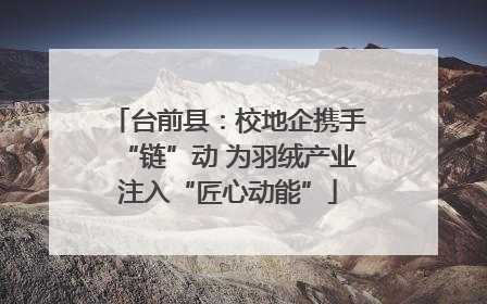 台前县：校地企携手“链”动 为羽绒产业注入“匠心动能”