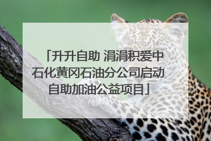 升升自助 涓涓积爱中石化黄冈石油分公司启动自助加油公益项目