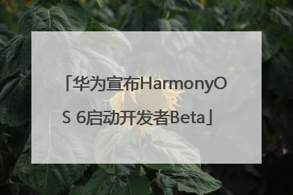 华为宣布HarmonyOS 6启动开发者Beta