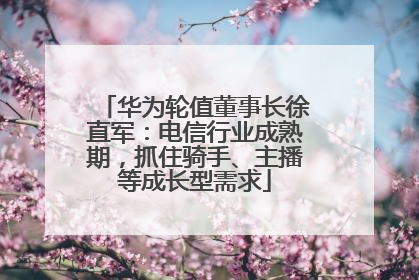 华为轮值董事长徐直军：电信行业成熟期，抓住骑手、主播等成长型需求