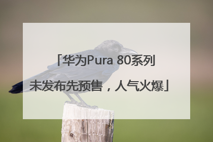 华为Pura 80系列未发布先预售，人气火爆