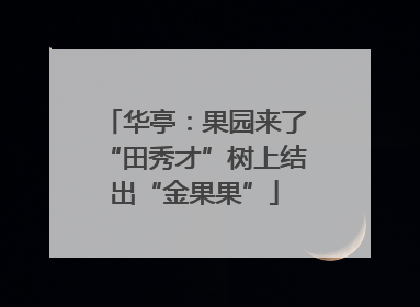 华亭：果园来了“田秀才”树上结出“金果果”