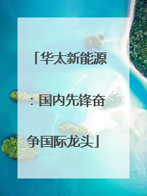 华太新能源：国内先锋奋争国际龙头