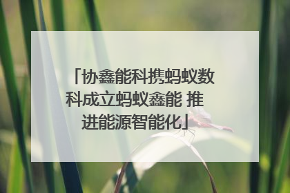 协鑫能科携蚂蚁数科成立蚂蚁鑫能 推进能源智能化