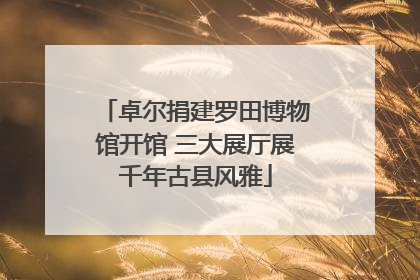 卓尔捐建罗田博物馆开馆 三大展厅展千年古县风雅