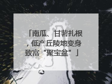 南瓜、甘薯扎根，低产丘陵地变身致富“聚宝盆”