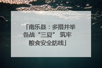 南乐县：多措并举备战“三夏” 筑牢粮食安全防线