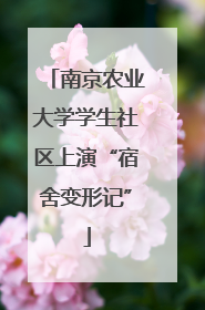 南京农业大学学生社区上演“宿舍变形记”