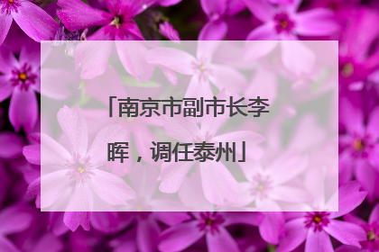 南京市副市长李晖，调任泰州