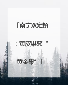 南宁双定镇：黄皮果变“黄金果”