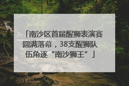 南沙区首届醒狮表演赛圆满落幕，38支醒狮队伍角逐“南沙狮王”