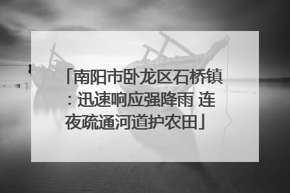 南阳市卧龙区石桥镇：迅速响应强降雨 连夜疏通河道护农田