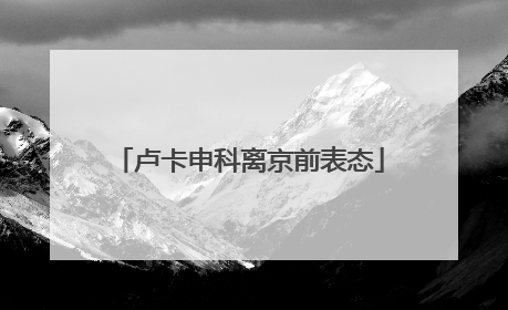 卢卡申科离京前表态