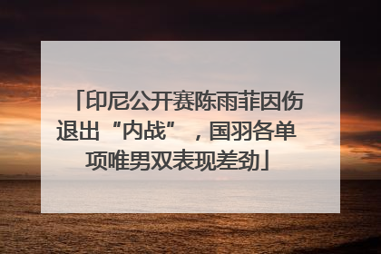 印尼公开赛陈雨菲因伤退出“内战”，国羽各单项唯男双表现差劲