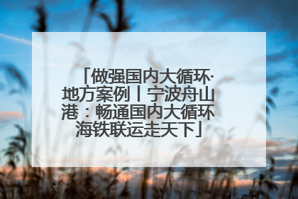 做强国内大循环·地方案例丨宁波舟山港：畅通国内大循环海铁联运走天下