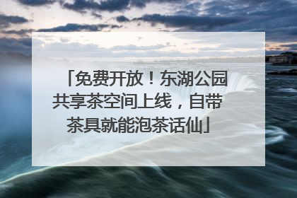 免费开放！东湖公园共享茶空间上线，自带茶具就能泡茶话仙