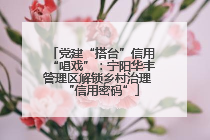 党建“搭台”信用“唱戏”：宁阳华丰管理区解锁乡村治理“信用密码”