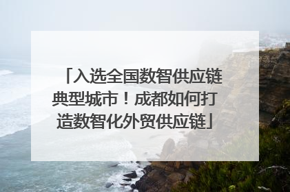 入选全国数智供应链典型城市！成都如何打造数智化外贸供应链