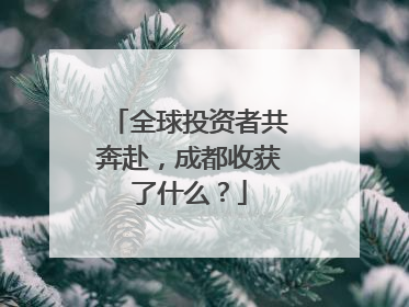 全球投资者共奔赴，成都收获了什么？