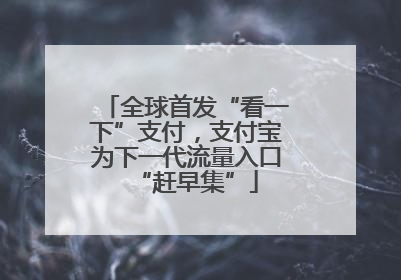 全球首发“看一下”支付，支付宝为下一代流量入口“赶早集”