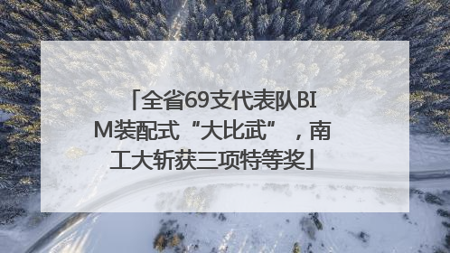 全省69支代表队BIM装配式“大比武”，南工大斩获三项特等奖