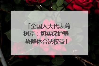 全国人大代表葛树芹：切实保护弱势群体合法权益