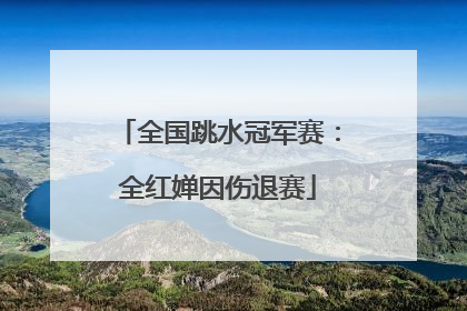 全国跳水冠军赛：全红婵因伤退赛