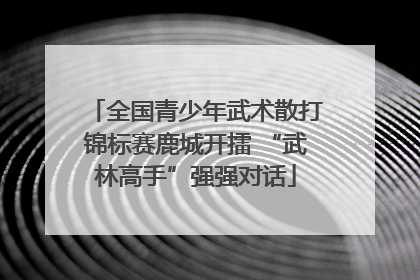 全国青少年武术散打锦标赛鹿城开擂 “武林高手”强强对话