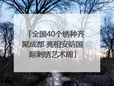全国40个绣种齐聚成都 亮相安靖国际刺绣艺术周