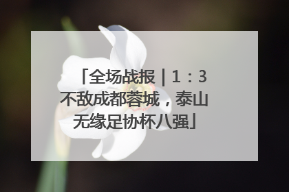 全场战报｜1：3不敌成都蓉城，泰山无缘足协杯八强