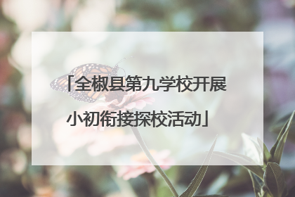 全椒县第九学校开展小初衔接探校活动