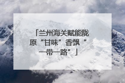 兰州海关赋能陇原“甘味”香飘“一带一路”