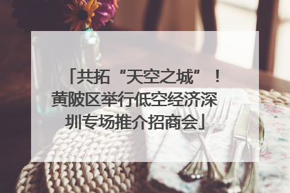 共拓“天空之城”！黄陂区举行低空经济深圳专场推介招商会