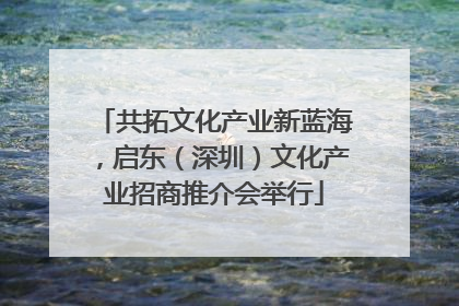 共拓文化产业新蓝海，启东（深圳）文化产业招商推介会举行
