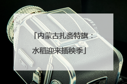 内蒙古扎赉特旗：水稻迎来插秧季