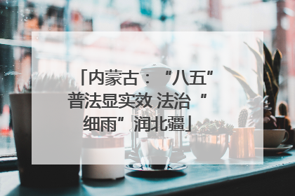 内蒙古：“八五”普法显实效 法治“细雨”润北疆