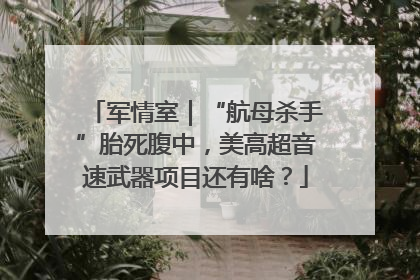 军情室｜“航母杀手”胎死腹中，美高超音速武器项目还有啥？
