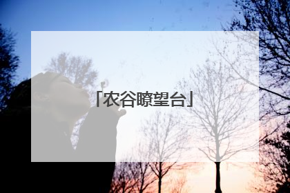 农谷瞭望台
