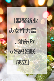 凝聚新业态女性力量，浦东Pro妈妈妇联成立