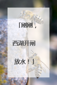 刚刚，西湖开闸放水！