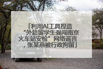 利用AI工具捏造 “外籍留学生强闯南京火车站安检”网络谣言，张某燕被行政拘留