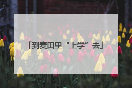 到麦田里“上学”去